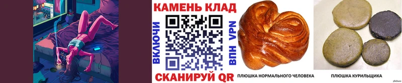 купить наркоту  сайты даркнета клад  Гашиш гашик  Сенгилей 