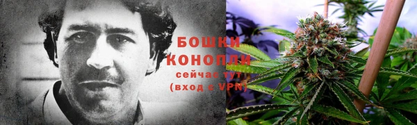 мет Алзамай