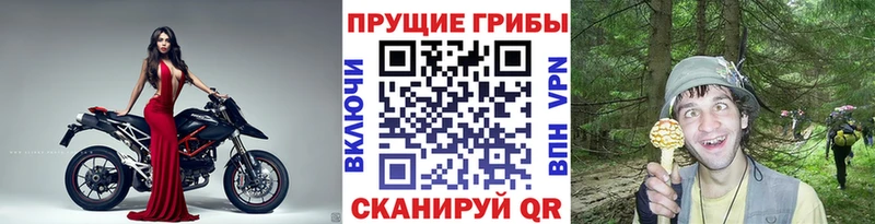 Галлюциногенные грибы мухоморы  Сенгилей 